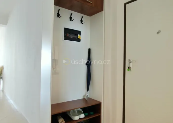 Cinco 33 Kufrujeme.cz