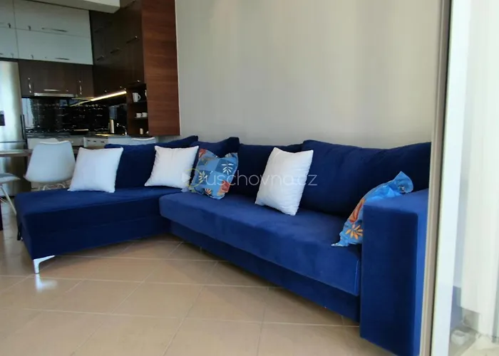 Cinco 33 Kufrujeme.cz *